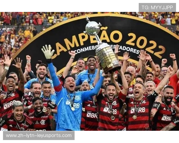 巴西甲联赛直播平台对比及体育赛事跨联赛观赛